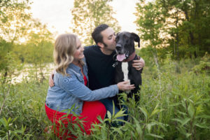 Is the Great Dane the right dog for you and your family?
