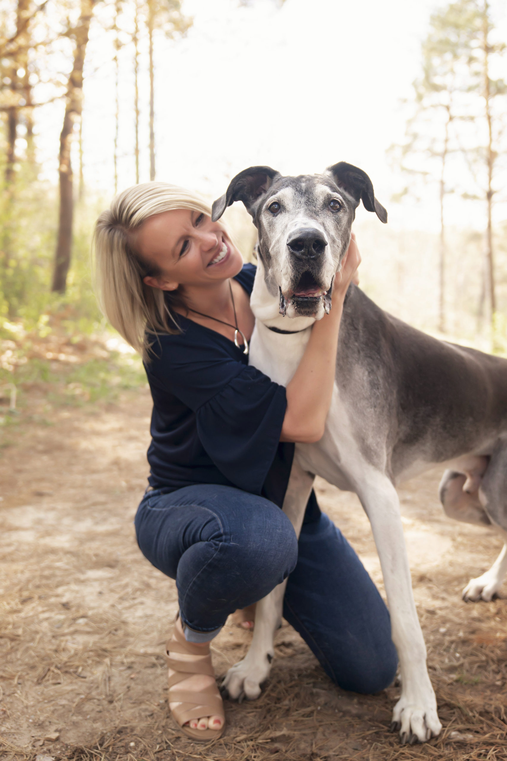 Great Dane Rescue Available Danes - yimz7cy